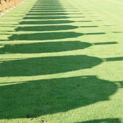 Un campo di tiro con l'arco